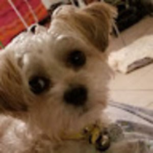 Meet your Posher, Michele